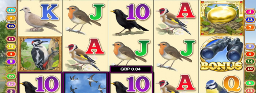 Winner Bingo Sends Players Bird Spotting