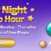 Free Saturday Night Bingo at Winner Bingo