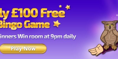 Take Advantage of Daily Free Bingo at Winner Bingo