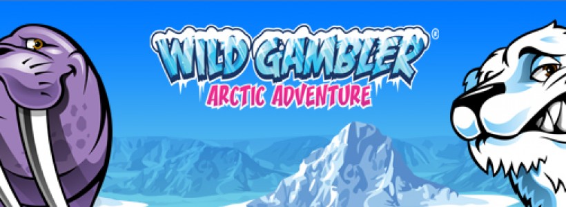 Lock Wild Symbols with Wild Gambler Arctic Adventure at Winner Slots